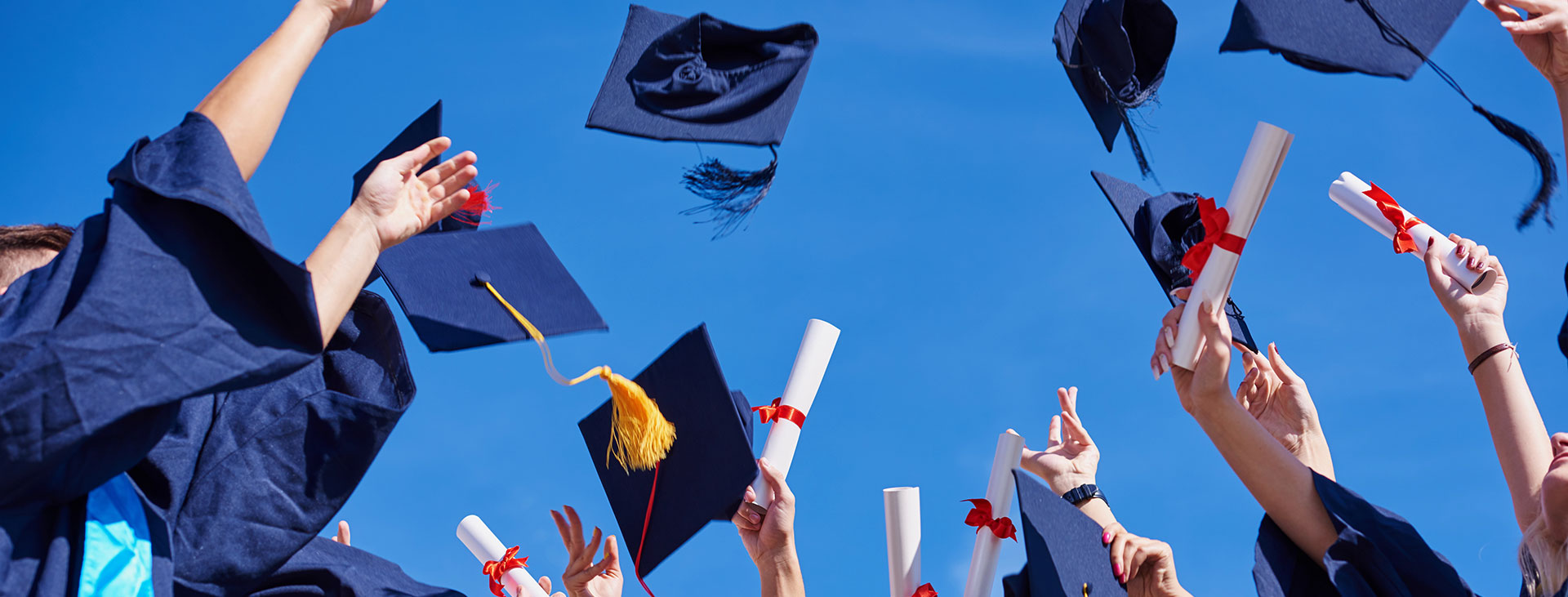 Tutor Apprenticeship Toolkit